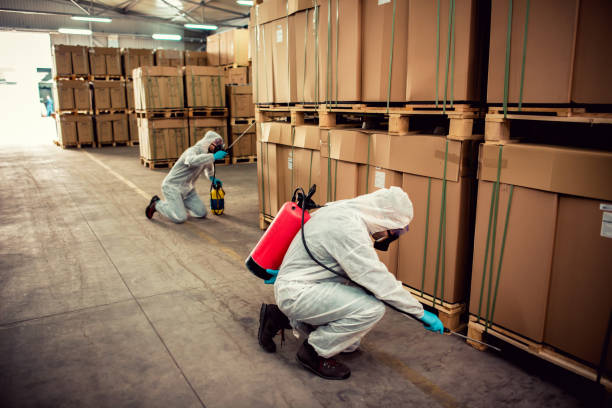 Best Flea Control Services  in Grundy Center, IA