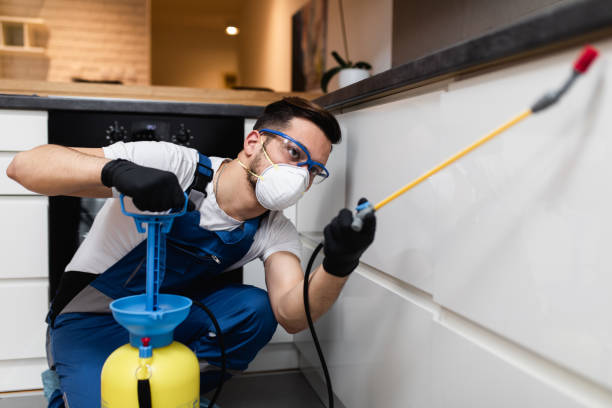 Best Affordable Pest Control Services  in Grundy Center, IA
