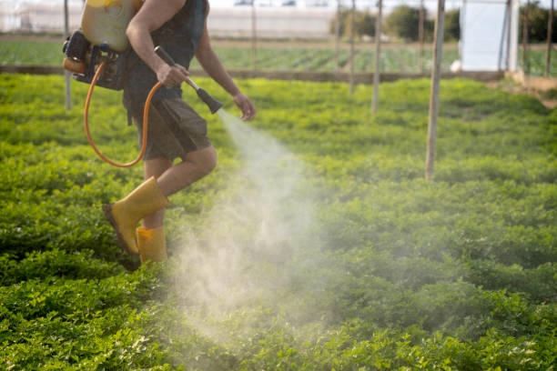 Best Pest Prevention Services  in Grundy Center, IA
