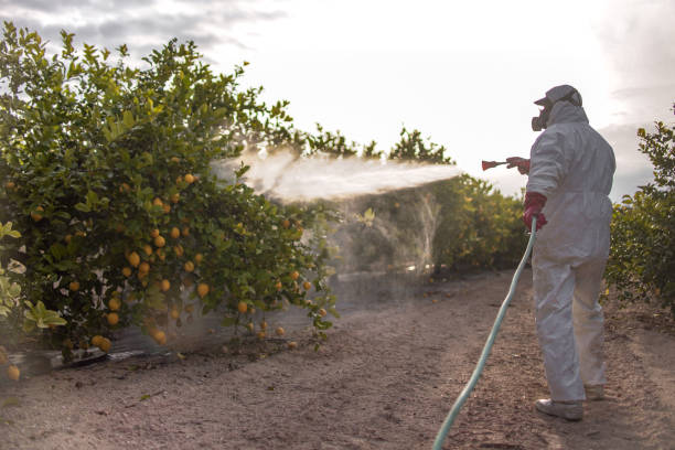 Best Pest Inspection Near Me  in Grundy Center, IA