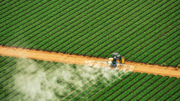 Best Commercial Pest Control Services  in Grundy Center, IA